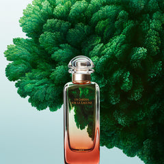 Un Jardin Sur La Lagune by Hermes - perfumes for women - Eau de Toilette, 100ml