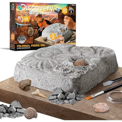 Discovery Colossal Fossil Dig Set, 15 Piece Archeology Excavation Kit, Uncover Real Shark Teeth and More, STEM Toys for Boys and Girls