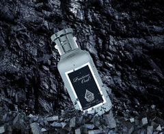 HOUSE OF PERFUMES Precious OUD EDP 100 ML