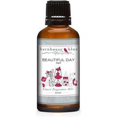 Barnhouse Blue Fragrance Oils – Beautiful Day Type + Mountain Meets the Ocean – Premium – 30ml