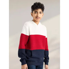 Textured Panelled Sweater with Hood Multicolour