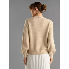 Textured Raglan Sleeves Sweater brown
