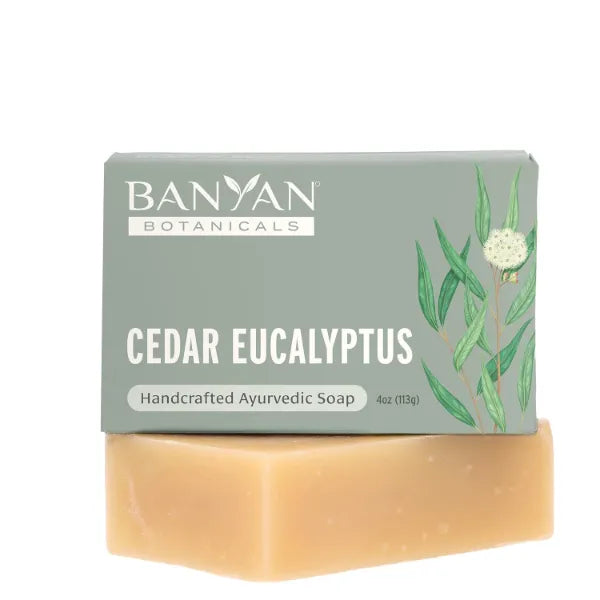Banyan Botanicals Neem & Aloe Soap Calming and Soothing Soap for Sensitive Skin With Organic Neem Leaf, Aloe Vera, and Vetiver Essential Oil 4 oz Bar Free of Sulfates, Phthalates & Parabens