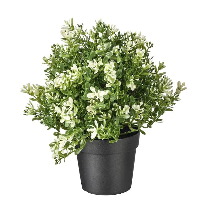IKEA FEJKA Artificial Potted Thyme Plant 9cm Lifelike Greenery for Eas My Store