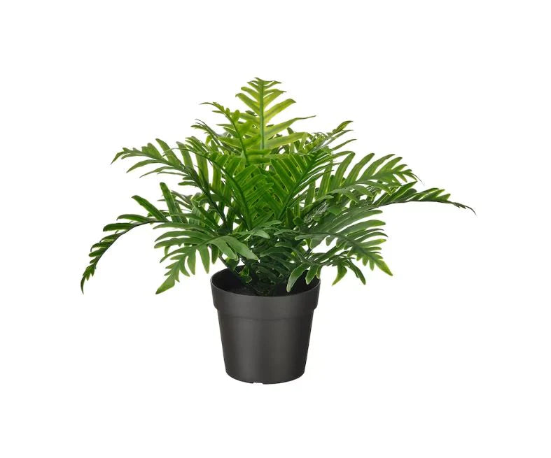IKEA FEJKA Whitley Giant Artificial Potted Plant 9 cm Perfect for Indoor and Outdoor Use