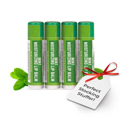 RaGaNaturals Natural Lip Balm (4 Pack) – Chocolate, Mint, Tropical, Lemon & Unscented, Hydrating Beeswax Formula with Shea Butter, Jojoba Oil & Vitamin E, Handmade in USA