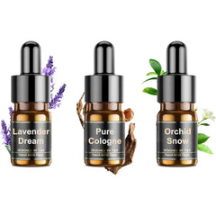 Ceeniu Essential Oils Set - F21 Essential Oils Refill for Car Diffuser, 12ml (3 Pack), Long-Lasting Natural French Fragrance