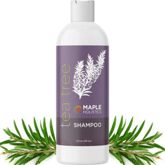 Maple Holistics Cleansing Dry Scalp Shampoo For Men's, Flaky Scalp Moisturizer with Tea Tree Oil for Oily Scalp - Deep Clarifying Shampoo for Build Up, 8 Fl Oz (Pack of 1)