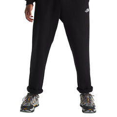 The North Face Men's Evolution Straight-Leg Sweat Pant