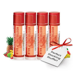 RaGaNaturals Natural Lip Balm (4 Pack) – Chocolate, Mint, Tropical, Lemon & Unscented, Hydrating Beeswax Formula with Shea Butter, Jojoba Oil & Vitamin E, Handmade in USA