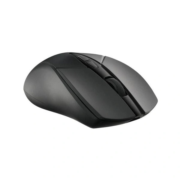 Rapoo V300SE Wireless Mouse - 12401